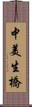 中美生橋 Scroll