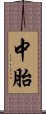 中胎 Scroll