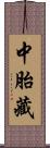 中胎藏 Scroll