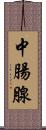 中腸腺 Scroll