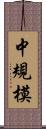 中規模 Scroll