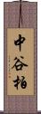 中谷柏 Scroll