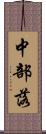 中部落 Scroll