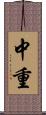 中重 Scroll