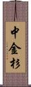 中金杉 Scroll