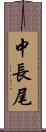 中長尾 Scroll