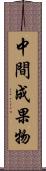 中間成果物 Scroll