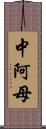 中阿母 Scroll