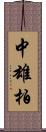 中雄柏 Scroll