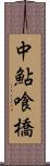 中鮎喰橋 Scroll