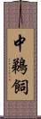 中鵜飼 Scroll