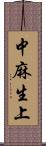 中麻生上 Scroll