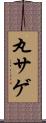 丸サゲ Scroll