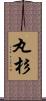 丸杉 Scroll