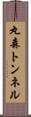 丸森トンネル Scroll