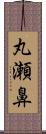 丸瀬鼻 Scroll