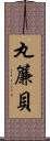 丸簾貝 Scroll