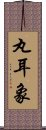 丸耳象 Scroll