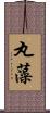 丸藻 Scroll