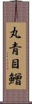 丸青目鱛 Scroll