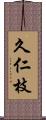 久仁枝 Scroll