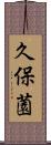 久保薗 Scroll