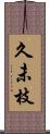 久未枝 Scroll