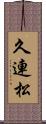 久連松 Scroll