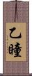 乙瞳 Scroll