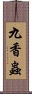 九香蟲 Scroll