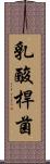 乳酸桿菌 Scroll
