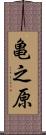 亀之原 Scroll