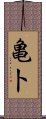 亀卜 Scroll