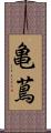 亀蔦 Scroll