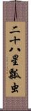 二十八星瓢虫 Scroll