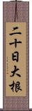 二十日大根 Scroll