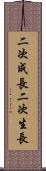 二次成長 Scroll