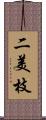 二美枝 Scroll