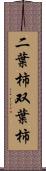 二葉柿 Scroll