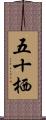 五十栖 Scroll