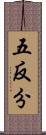 五反分 Scroll