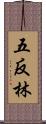 五反林 Scroll