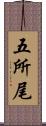 五所尾 Scroll