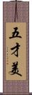 五才美 Scroll