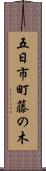 五日市町藤の木 Scroll