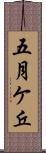 五月ケ丘 Scroll