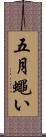五月蠅い Scroll