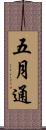五月通 Scroll