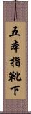 五本指靴下 Scroll