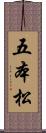 五本松 Scroll